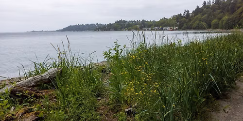 Lincoln Park Beach