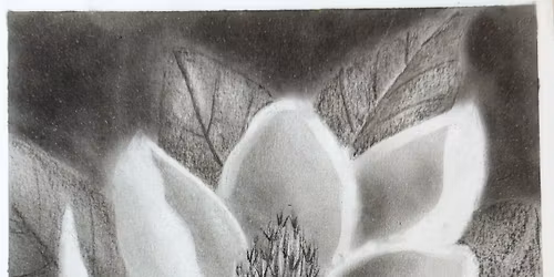 Magnolia (Charcoal)