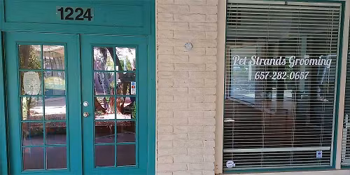 City of Orange - Dog dental cleaning