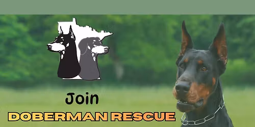 Dog Days WBL