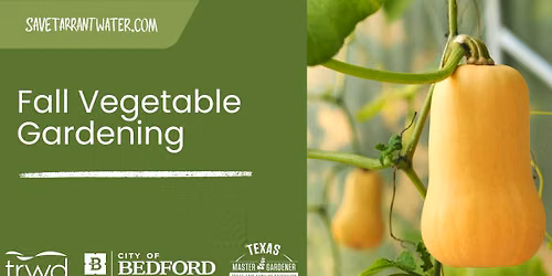 Fall Vegetable Gardening