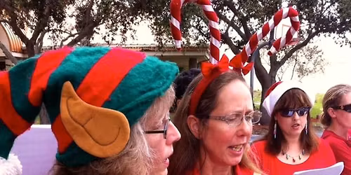 Christmas Caroling and Cookie Delivery!