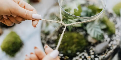 Succulent Glass Garden Workshop in Raleigh