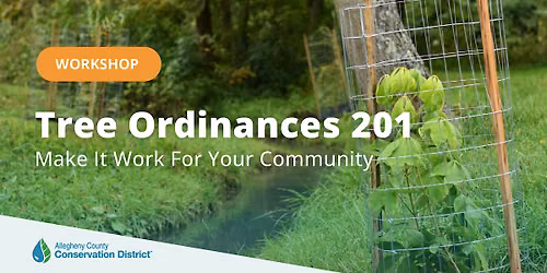 Tree Ordinances 201: Make It Work for Your Community
