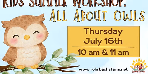 Kids Summer Workshop: All About Owls