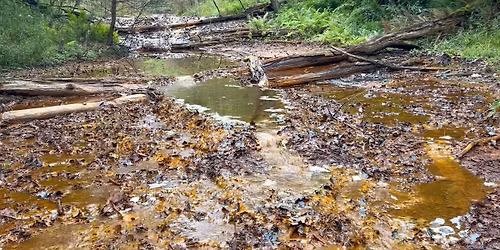 Monthly Meeting of the Moshannon Creek Watershed Association