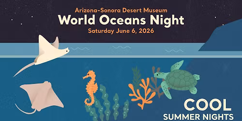 World Oceans Night (Cool Summer Nights)