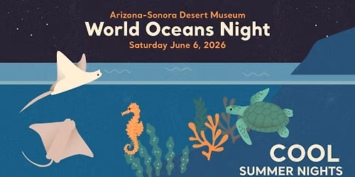 World Oceans Night (Cool Summer Nights) 