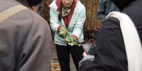 Forage and Cook with Wild Spring Greens\u2014Hands on Class at Carnation Farms