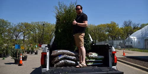 Saint Paul Tree Giveaway