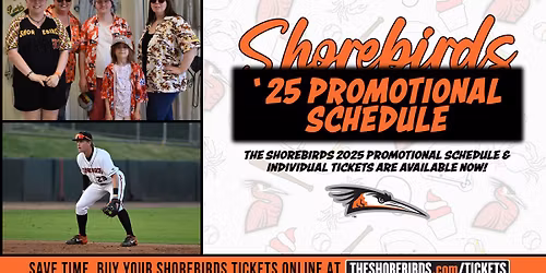 Lynchburg Hillcats at Delmarva Shorebirds at Arthur W Perdue Stadium