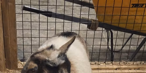 Frenchtown Makers Market