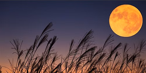 NIGHT BETWEEN REALMS - the harvest full moon