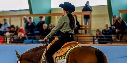 Clinic Nathalie Borhult Showhorses L\u00f6rdag 16 Maj