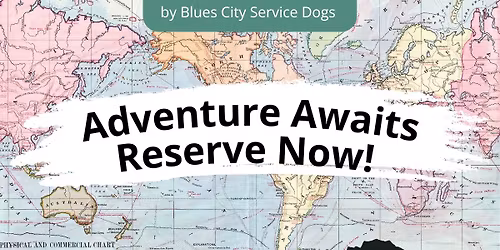 Service Dogs Take On... Chicago