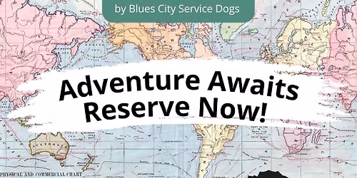 Service Dogs Take On... Chicago