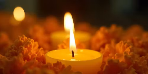 Transformando el duelo y las p\u00e9rdidas Programa de 8 semanas