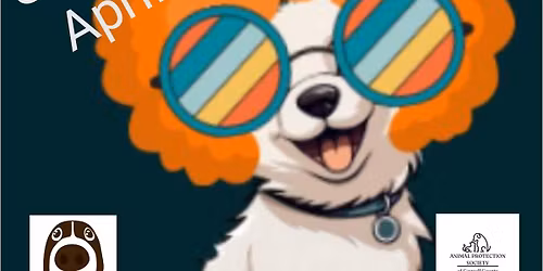 2nd Annual Mrs Roper's Rescues - a Pub Crawl for the Paws