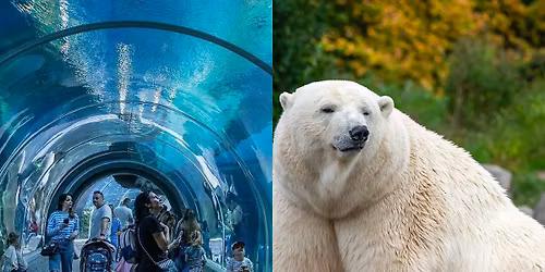 Mehrtagesbusfahrt nach Posen\/Warschau\/\u0141\u00f3d\u017a