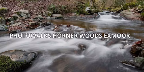 Photowalk : Horner Woods Exmoor