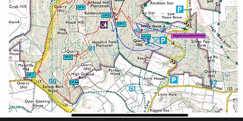 Hooded Horse 11km Fell Race
