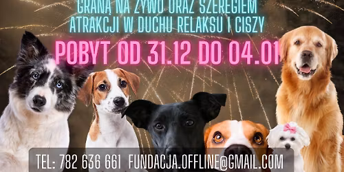 (NIE)WYSTRZA\u0141OWY SYLWESTER 2025