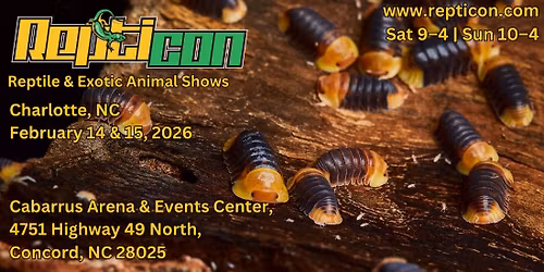 Repticon Charlotte
