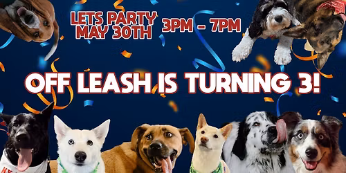 Off Leash Dog Bar Turns 3!