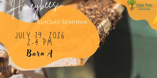 Sunday Seminar: Honey Bees