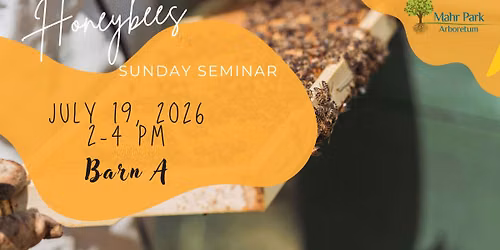 Sunday Seminar: Honey Bees