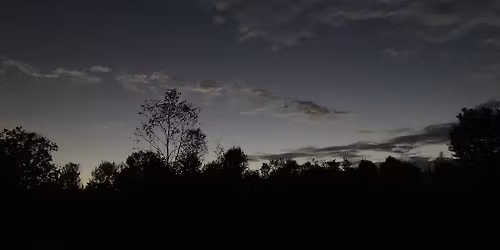 Adult Learning: Winter Owls