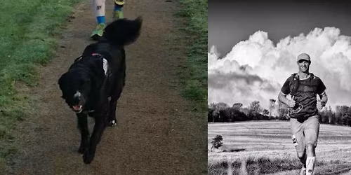 Thomas Roses \ud83d\udcaf MT jubil\u00e6ums l\u00f8b