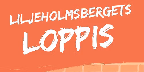 Loppis p\u00e5 Liljeholmsberget!