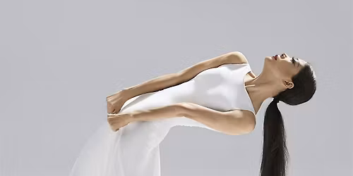 Dance Victoria: Re-imagining a Visual Identity