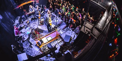 Nathan & the Zydeco Cha Chas at The 8x10 1\/20