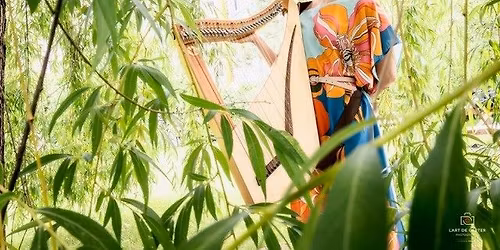 Faites chanter et murmurer les arbres - pour tous (Festival Petits bonheurs Longueuil)