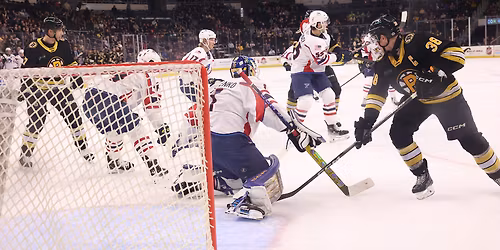 Springfield Thunderbirds at Providence Bruins at Amica Mutual Pavilion
