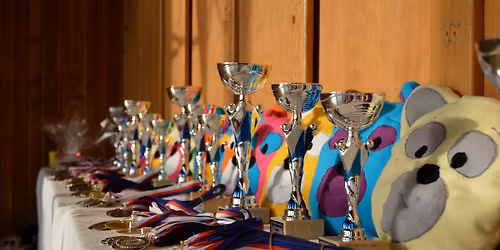 O poh\u00e1r medv\u011bda Brtn\u00edka 