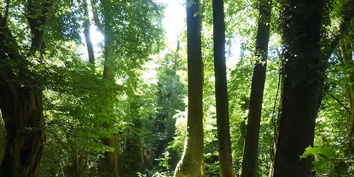 Balade autour de la Fontaine Caillou.