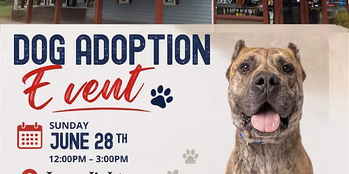 Yappy Hour at Lamp Lighters