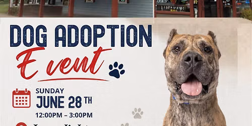 Yappy Hour at Lamp Lighters
