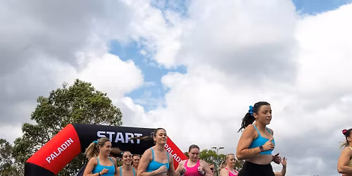 Paladin Brisbane 1.0 Spectator Ticket