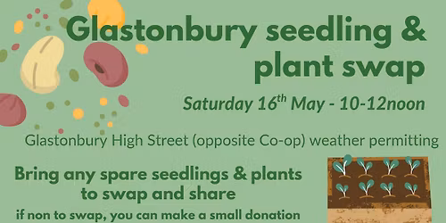 Glastonbury seedling and plant swap