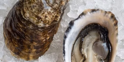5th Annual Oyster Festival