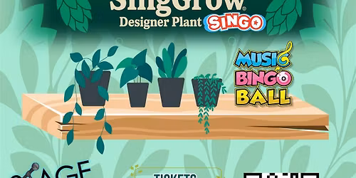 Designer Plant Singo at Grow