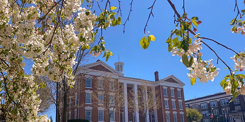 Lighting of the Quad