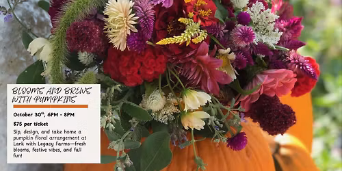 Blooms 'n Brews With Pumpkins