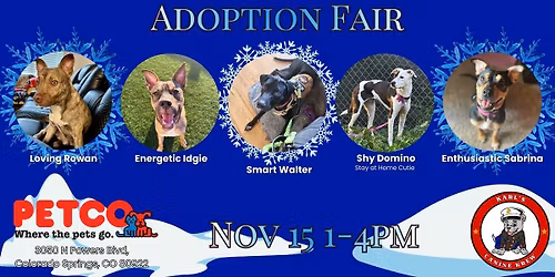 Snow Much Love Adoption Fair