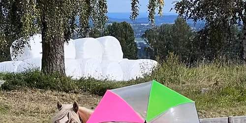 Vestopplandmesterskapet 2025