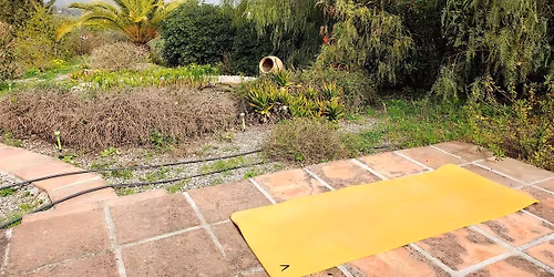 Stage yoga \u00e0 Montauroux